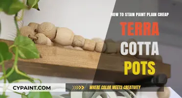 Staining and Painting Terra Cotta Pots on a Budget