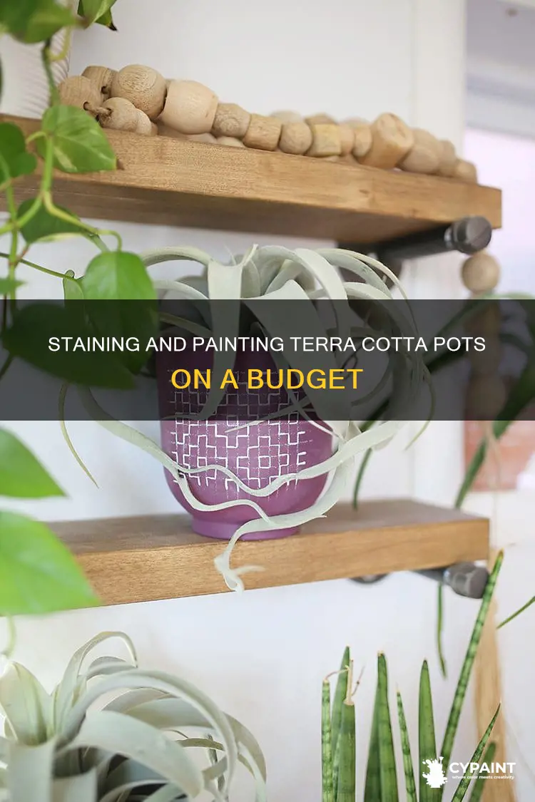 how to stain paint plain cheap terra cotta pots