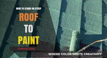 Safe Techniques for Painting on Steep Roofs: A Step-by-Step Guide