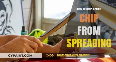 Prevent Paint Chip Spread: Quick Fixes and Long-Term Solutions