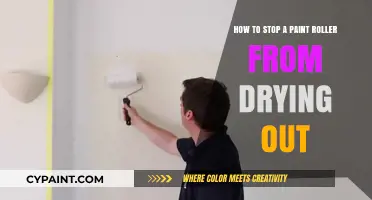 Keep Your Paint Roller Fresh: Tips to Prevent Drying