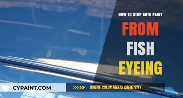 Prevent Fish Eye in Auto Paint: Expert Tips and Techniques