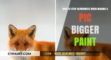 Prevent Blurry Images: Tips for Enlarging Photos in Paint