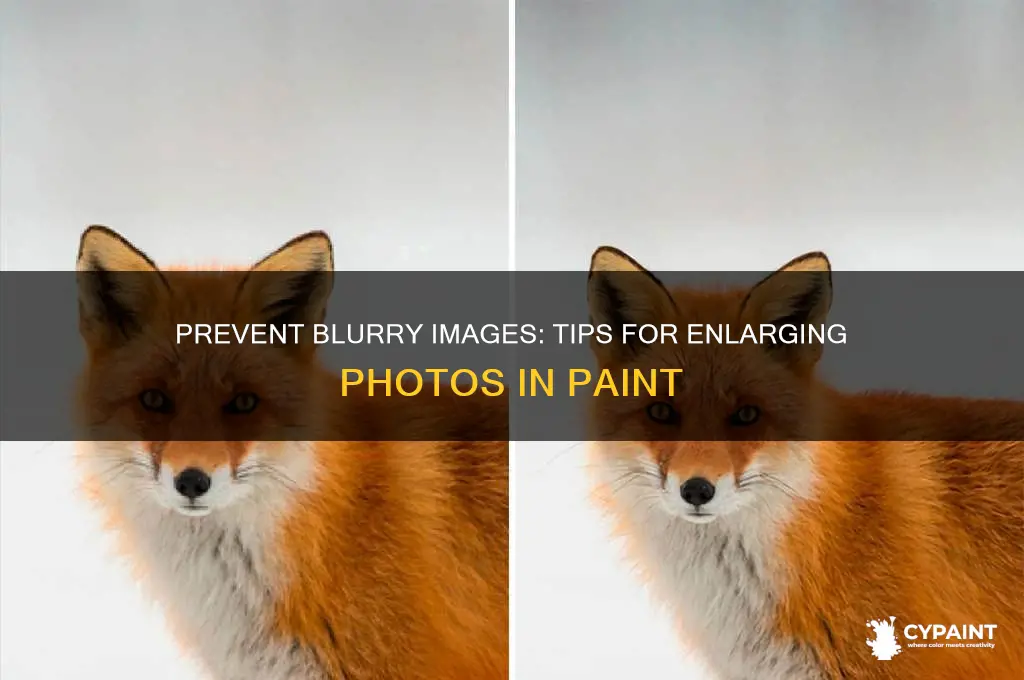 how to stop blurriness when making a pic bigger paint