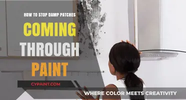 Prevent Damp Patches: Effective Solutions for Long-Lasting Paint Finishes