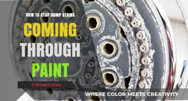 Prevent Damp Stains: Effective Tips for Long-Lasting Paint Protection