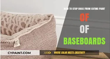 Preventing Dogs from Eating Paint: Protecting Baseboards and Pets Safely
