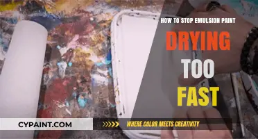Prevent Emulsion Paint from Drying Too Fast: Expert Tips and Tricks