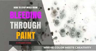 Prevent Mold Bleed-Through: Effective Painting Techniques for Lasting Results