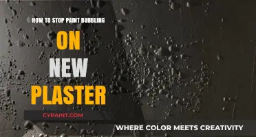 Prevent Paint Bubbles on New Plaster: Expert Tips and Techniques