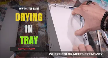 Prevent Paint Drying in Tray: Quick Tips for Smooth Painting