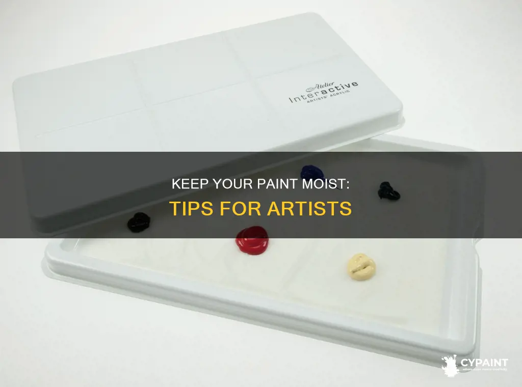 how to stop paint on my palette from drying