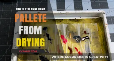 Keep Your Paint Pallete Moist: Tips and Tricks