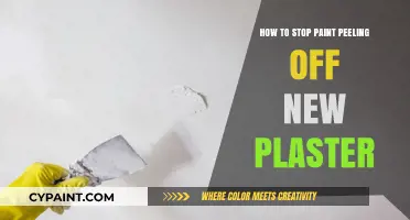 Prevent Paint Peeling: Expert Tips for New Plaster Surfaces