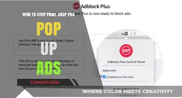 Stopping Paint Shop Pro Pop-Up Ads
