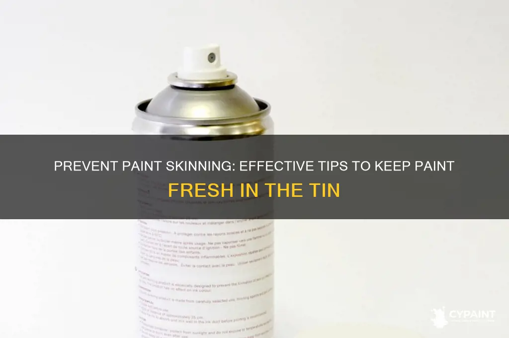 how to stop paint skinning in the tin