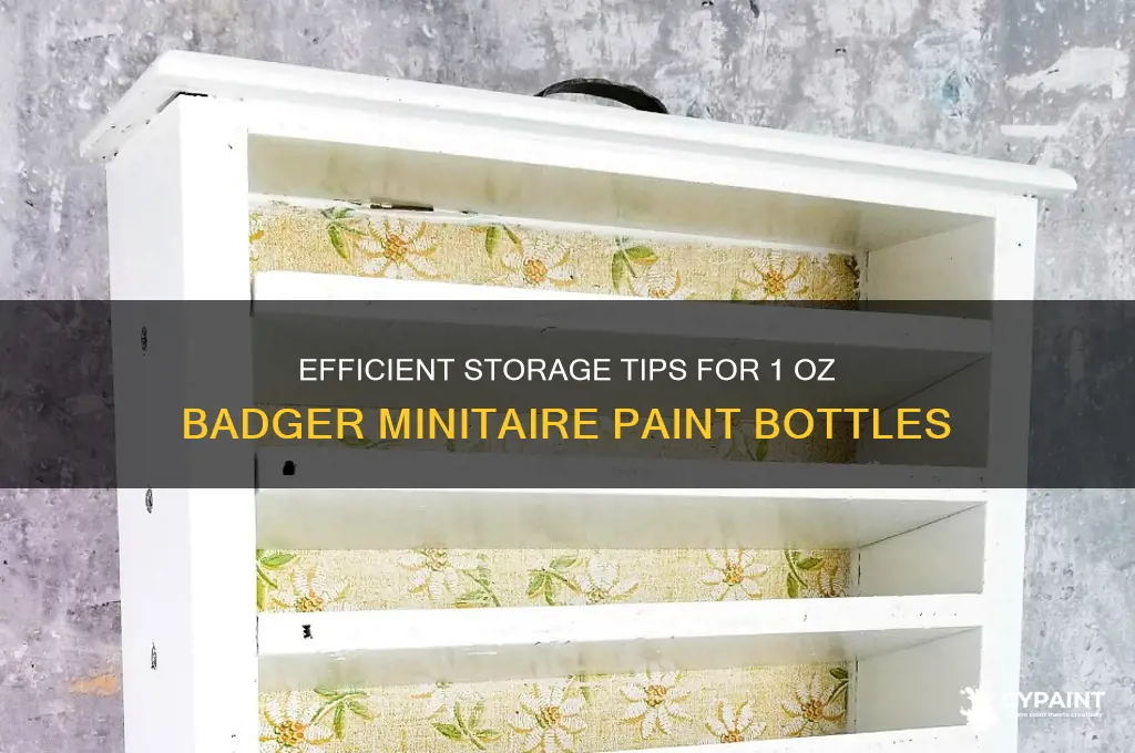 how to store 1 oz bottles of badger minitaire paint
