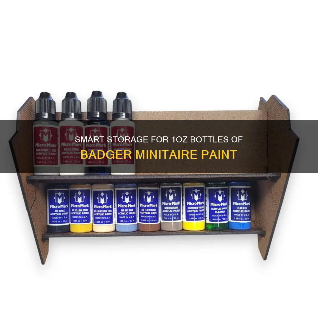 how to store 1oz bottles of badger minitaire paint