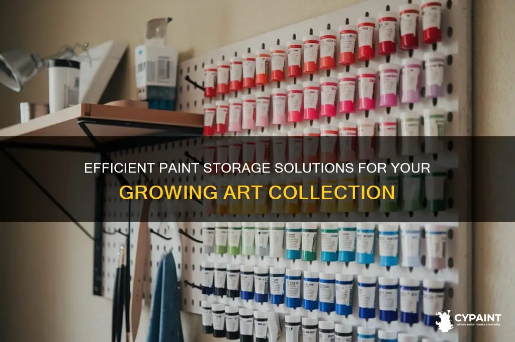 how to store a lot of paint art