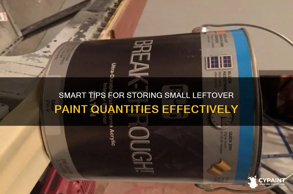 how to store small amounts of leftover paint