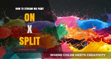 Master Streaming MS Paint on XSplit: A Beginner's Guide