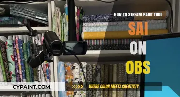 Master OBS Streaming: Paint Tool SAI Setup Guide for Artists