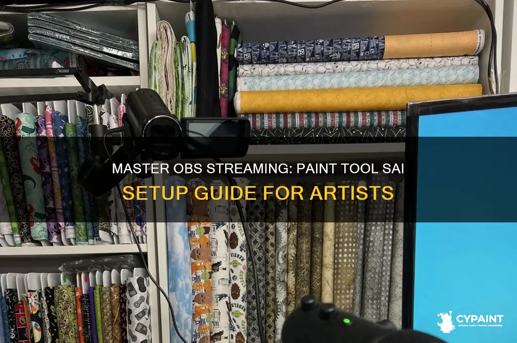 how to stream paint tool sai on obs
