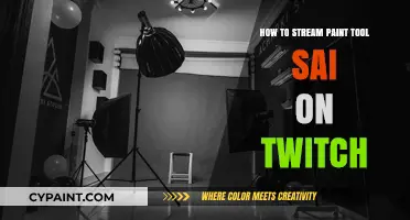 Master Twitch Streaming: Paint Tool SAI Setup & Tips