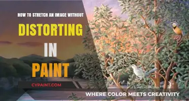 Stretching Images: Paint Tips to Avoid Distortion