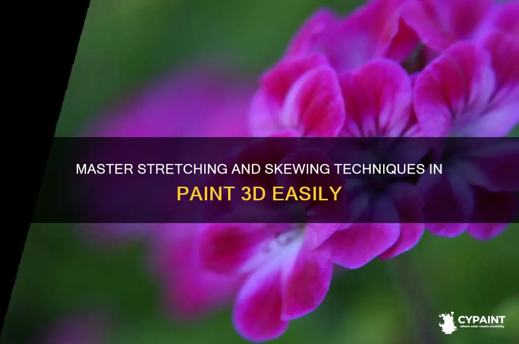 how to stretch or skew on paint 3d