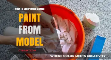 Effective Techniques to Remove Dried Acrylic Paint from Models