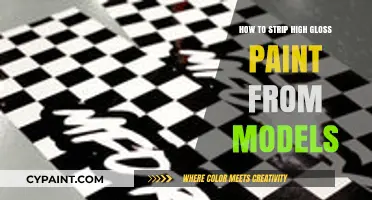 Effective Techniques to Remove High Gloss Paint from Models