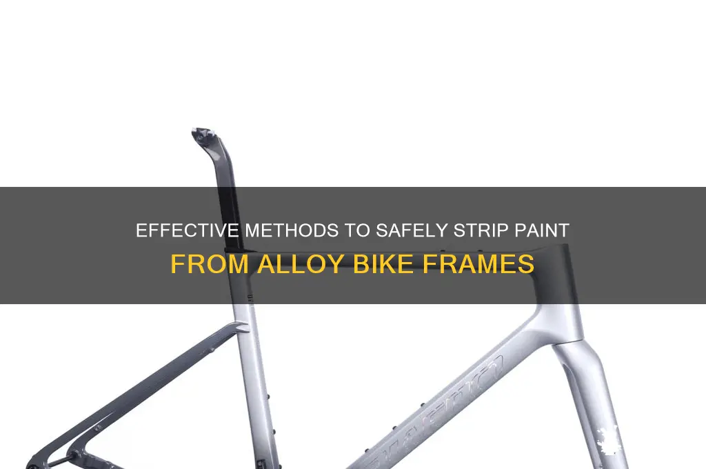 how to strip paint from alloy bike frame