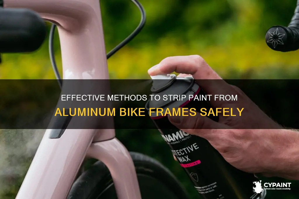 how to strip paint from aluminum bike frame
