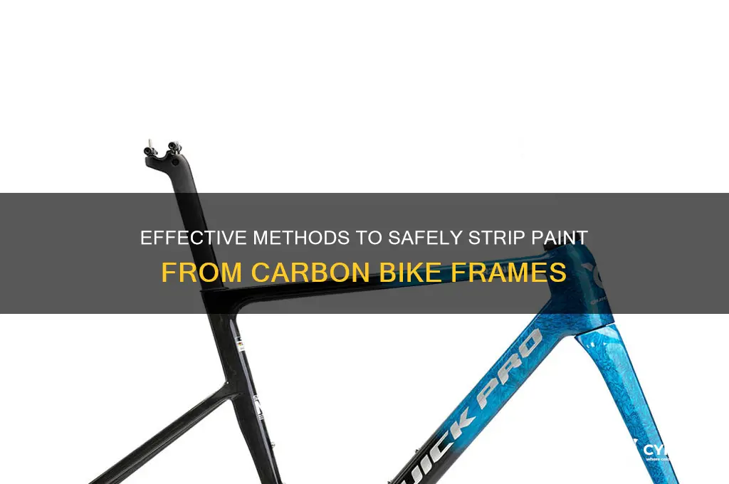 how to strip paint from carbon bike frame