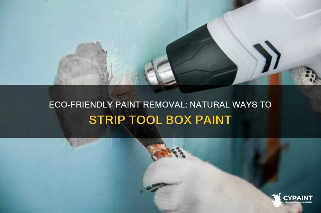 Home Remedies For Stripping Paint