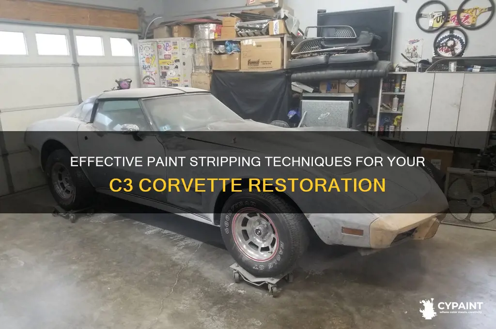 how to strip paint off a c3 corvette