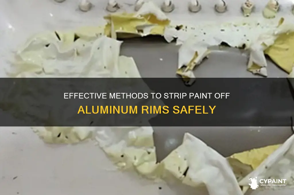 Fascinating How To Strip Paint From Aluminium Pictures
