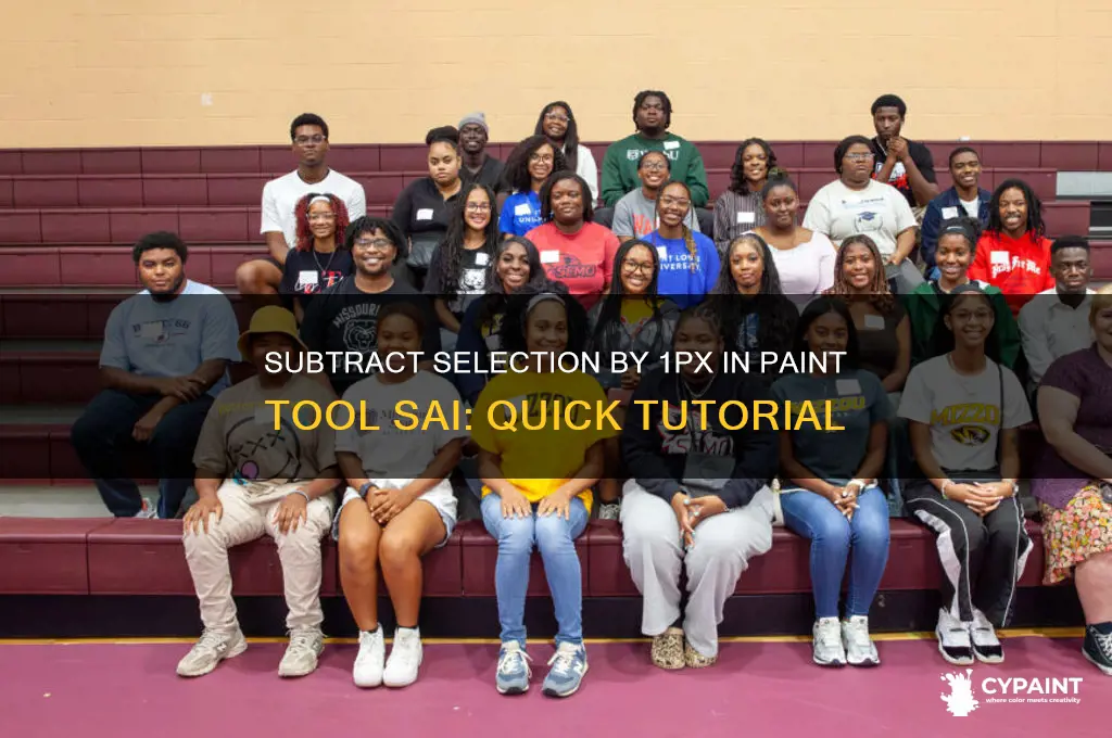 how to subtract selection by 1px in paint tool sai