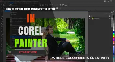 Mastering Corel Painter: Seamlessly Transition from Movement to Rotate