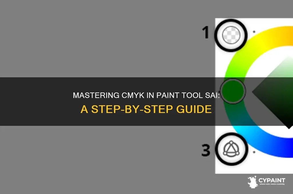 how to switch to cymk paint tool sai