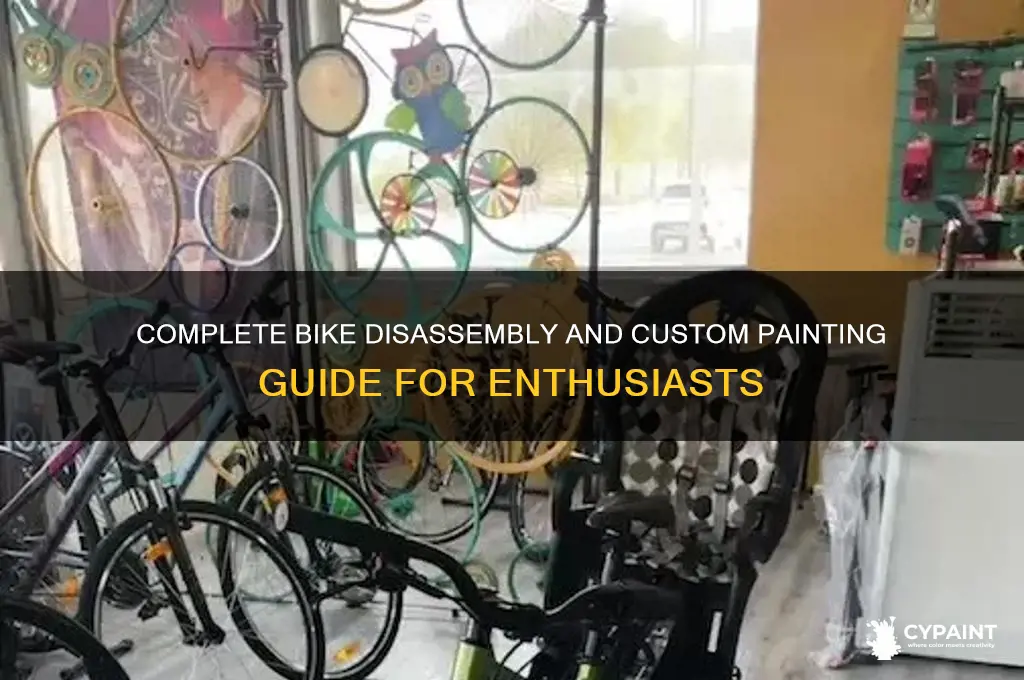 how to take a bike fully apart and paint it