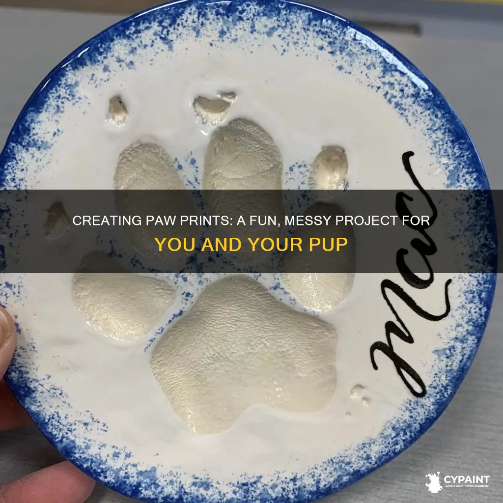 how to take a dog