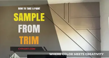 Mastering Paint Sampling: A Step-by-Step Guide for Trim Extraction