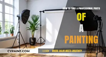 Mastering Professional Painting Photography
