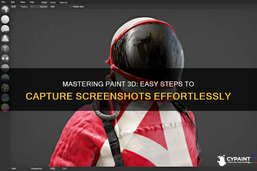 how to take a screenshot in paint 3d