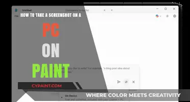 Capture and Edit: Taking Screenshots on PC Using Paint Tool