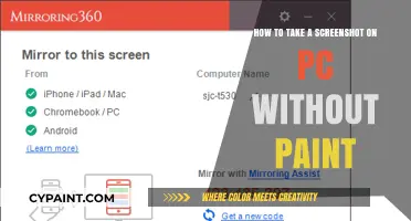 Taking Screenshots on PC: No Paint Required