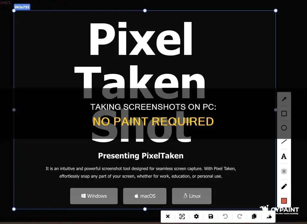 how to take a screenshot on pc without paint