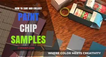 Mastering Paint Chip Sampling: Tips for Accurate Color Collection